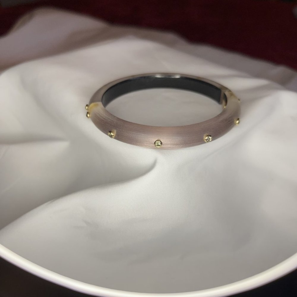 Alexis Bittar Lucite Hinged Clamper Bangle Bracelet